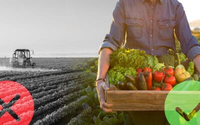 Szóste masowe wymieranie: Czy uda się Państwu przetrwać?