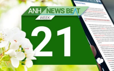ANH News Beat (week 21/2025)