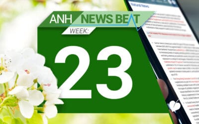 ANH News Beat (week 23/2025)