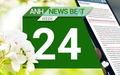ANH News Beat (week 24/2025)