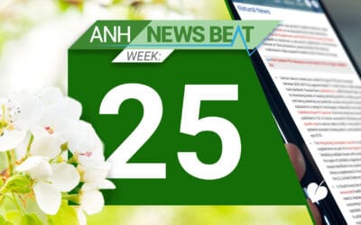 ANH News Beat (week 25/2025)