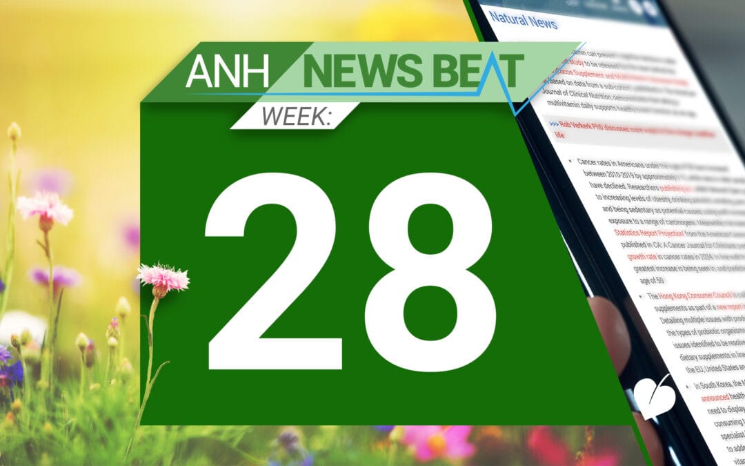 ANH News Beat (week 28/2025)