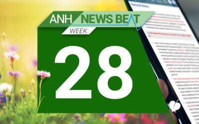 ANH News Beat (week 28/2025)