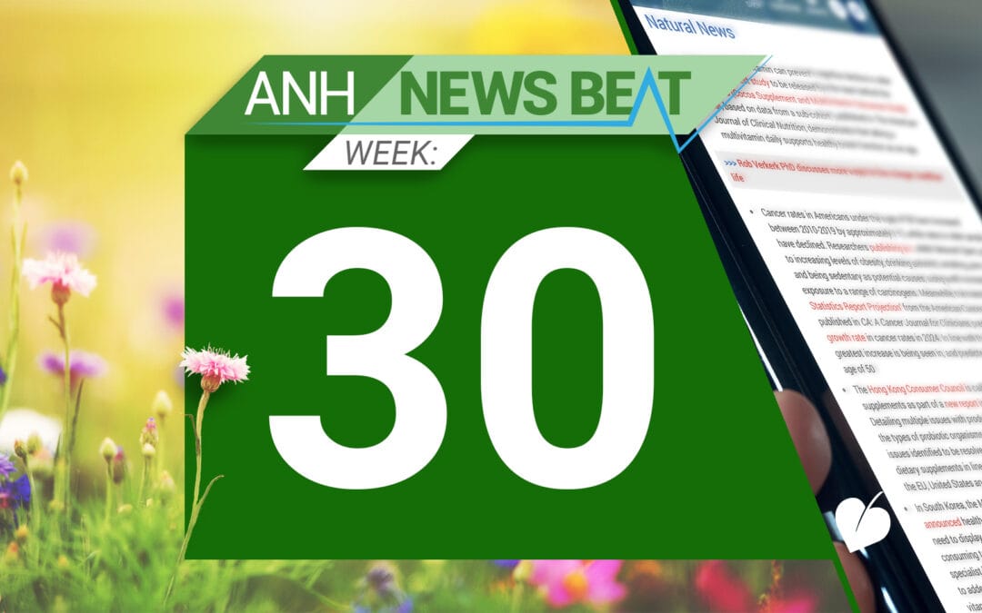 ANH News Beat (week 30/2025)