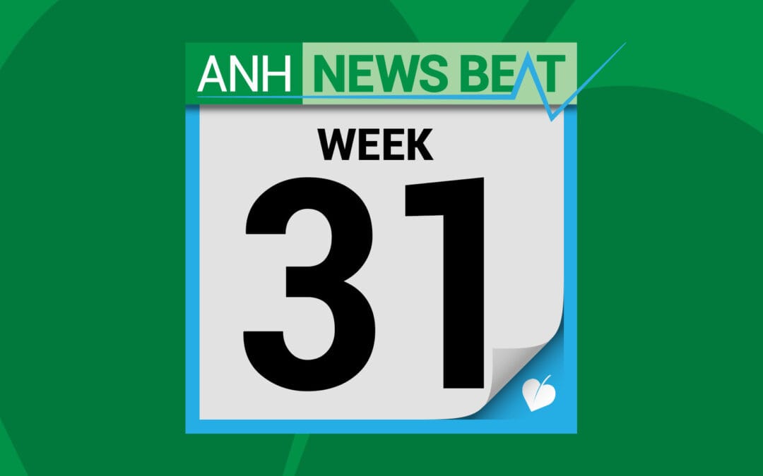 ANH News Beat (week 31/2025)