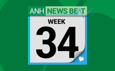 ANH News Beat (week 34/2025)
