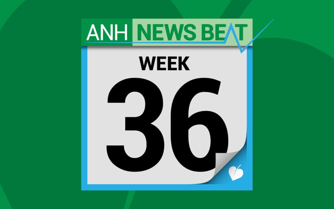 ANH News Beat (week 36/2025)