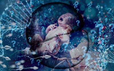 FEATURE: What is life? Energy, information, fields—and purpose without mysticism