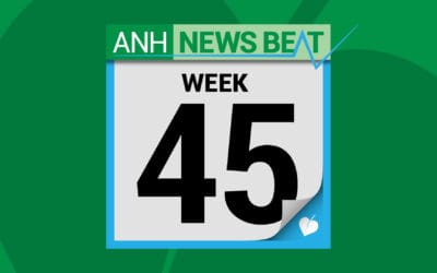 ANH News Beat (week 45/2025)