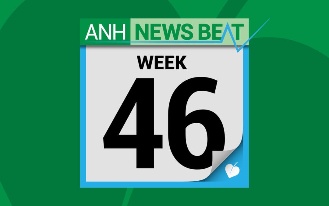 ANH News Beat (week 46/2025)