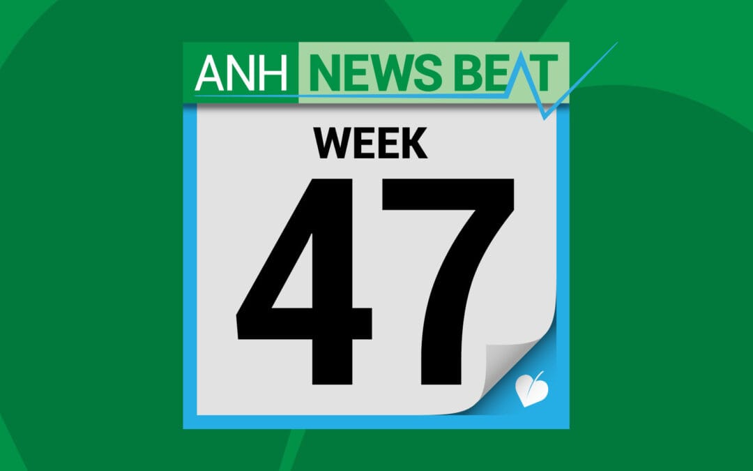 ANH News Beat (week 47/2025)