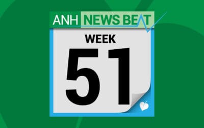 ANH News Beat (week 51/2025)